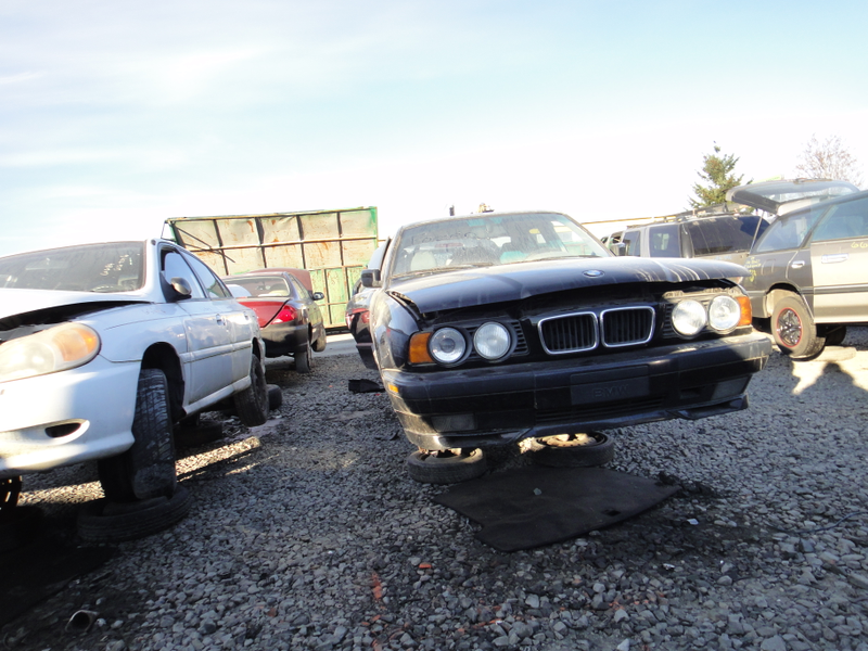 Illustration for article titled PNW Junkyard Visit